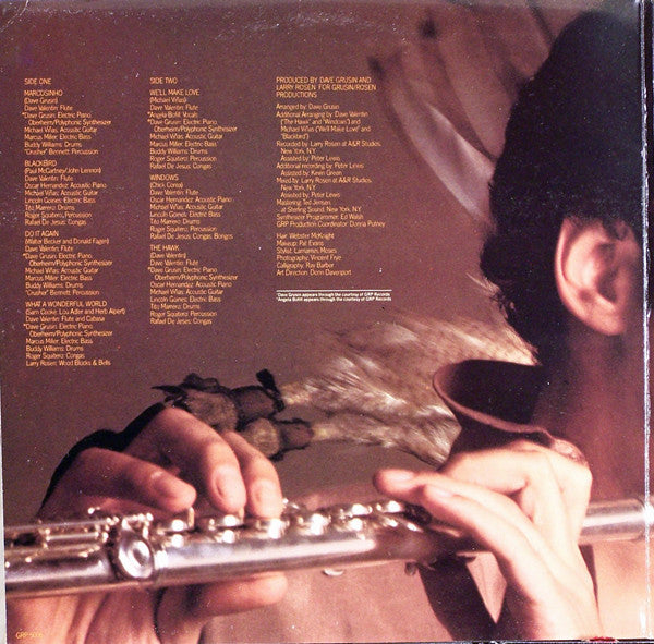 Dave Valentin : The Hawk (LP, Album, Gat)