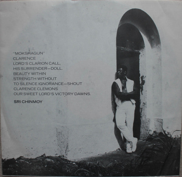 Clarence Clemons : Hero (LP, Album,  Ca)