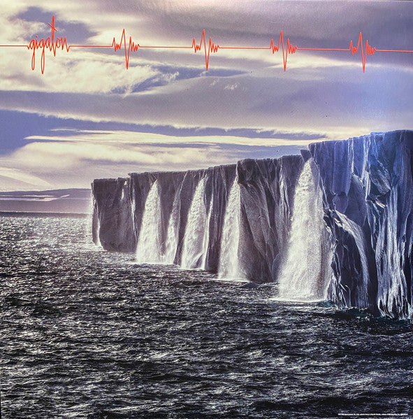 Pearl Jam : Gigaton (LP, Gat + LP, S/Sided, Etch, "Is + Album)