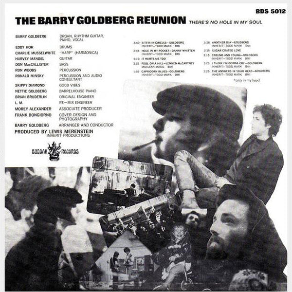 The Barry Goldberg Reunion* : There's No Hole In My Soul (LP, Album, Ter)