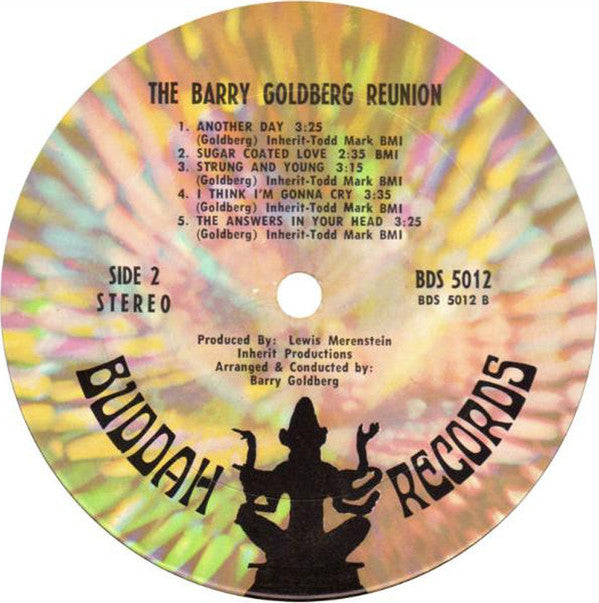 The Barry Goldberg Reunion* : There's No Hole In My Soul (LP, Album, Ter)