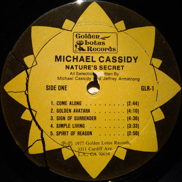 Michael Cassidy : Nature's Secret (LP, Album)