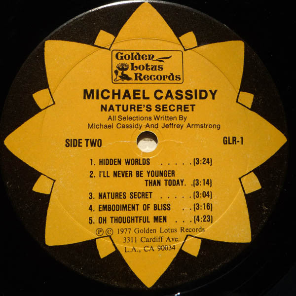 Michael Cassidy : Nature's Secret (LP, Album)