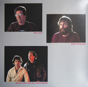 Grateful Dead* : In The Dark (LP, Album, RE, RM, Gat)