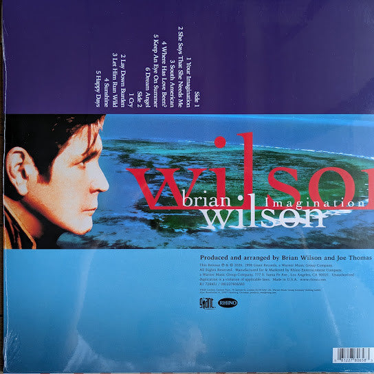 Buy Brian Wilson : Imagination (LP, Album, RSD, RE) Online for a