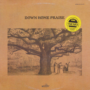 Down Home Praise : Down Home Praise (LP, Album)