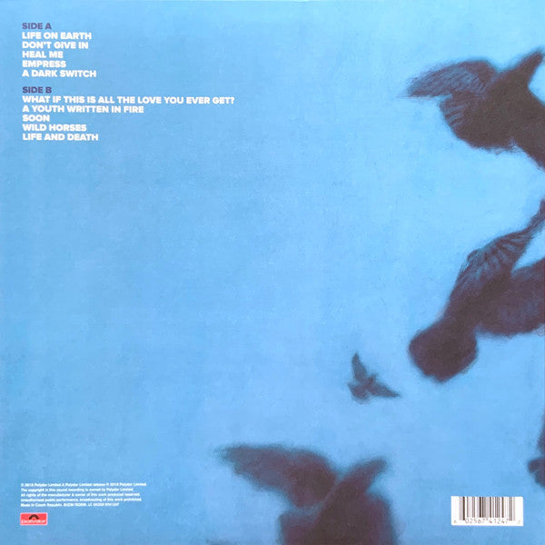 Snow Patrol : Wildness (LP, Album)