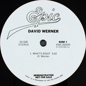 David Werner : David Werner (12", Promo, Smplr)