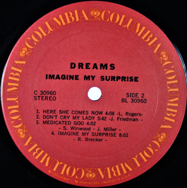Dreams (4) : Imagine My Surprise (LP, Album, Ter)
