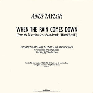 Andy Taylor : When The Rain Comes Down (12", Promo)