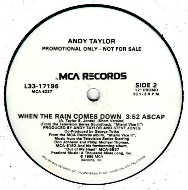 Andy Taylor : When The Rain Comes Down (12", Promo)