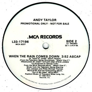 Andy Taylor : When The Rain Comes Down (12", Promo)