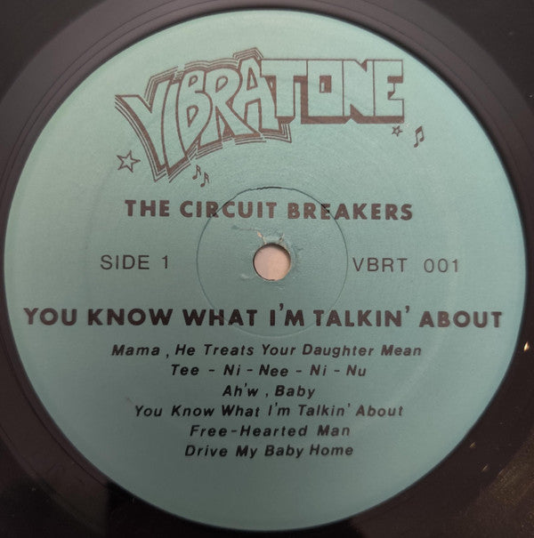 The Circuit Breakers : You Know What I'm Talkin' About! (LP)