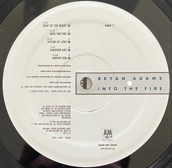Bryan Adams : Into The Fire (LP, Album, No )