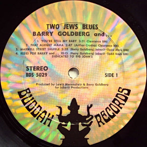 Barry Goldberg : Two Jews Blues (LP, Album)