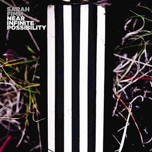 Sarah Fimm : Near Infinite Possibility (CD, Album)
