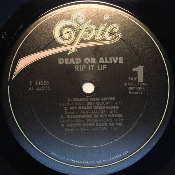 Dead Or Alive : Rip It Up (LP, Album, Comp, Mixed, Car)